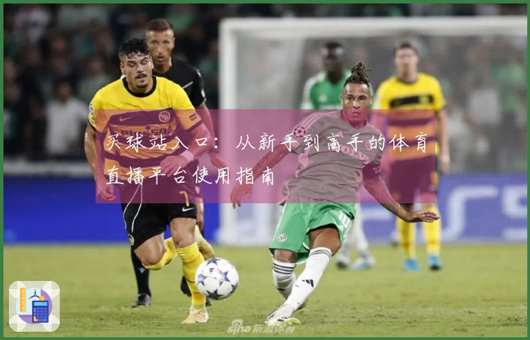 买球站入口：从新手到高手的体育直播平台使用指南