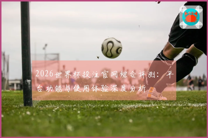 2026世界杯投注官网综合评测：平台功能与使用体验深度分析