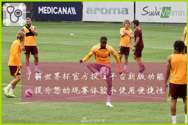 了解世界杯官方投注平台新版功能，提升您的观赛体验和使用便捷性