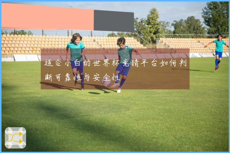 适合小白的世界杯竞猜平台如何判断可靠性与安全性