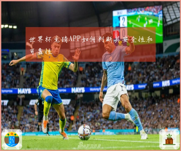 世界杯竞猜APP如何判断其安全性和可靠性