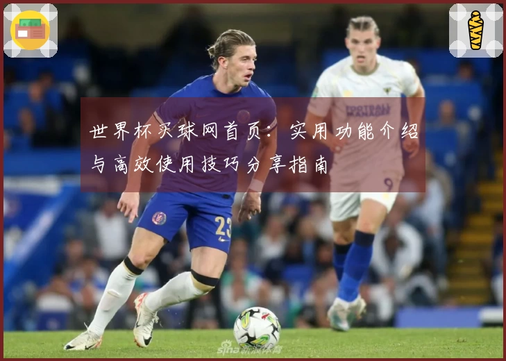 世界杯买球网首页：实用功能介绍与高效使用技巧分享指南