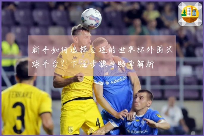 新手如何选择合适的世界杯外围买球平台？下注步骤与赔率解析