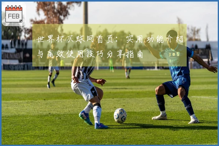 世界杯买球网首页：实用功能介绍与高效使用技巧分享指南