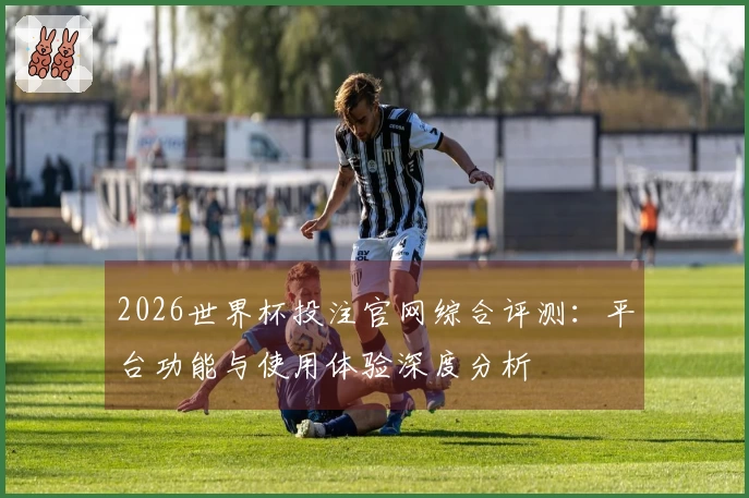 2026世界杯投注官网综合评测：平台功能与使用体验深度分析